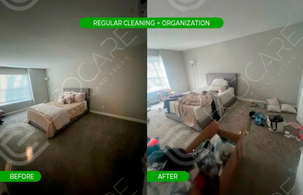 Regular Cleaning + Organization