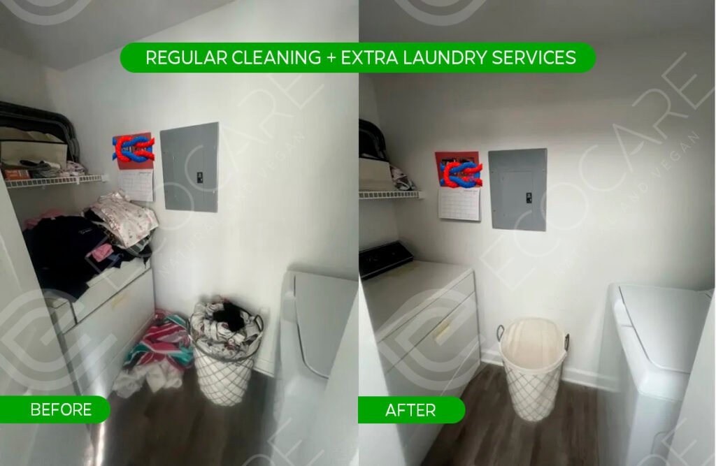 Regular Cleaning + Laundry Services