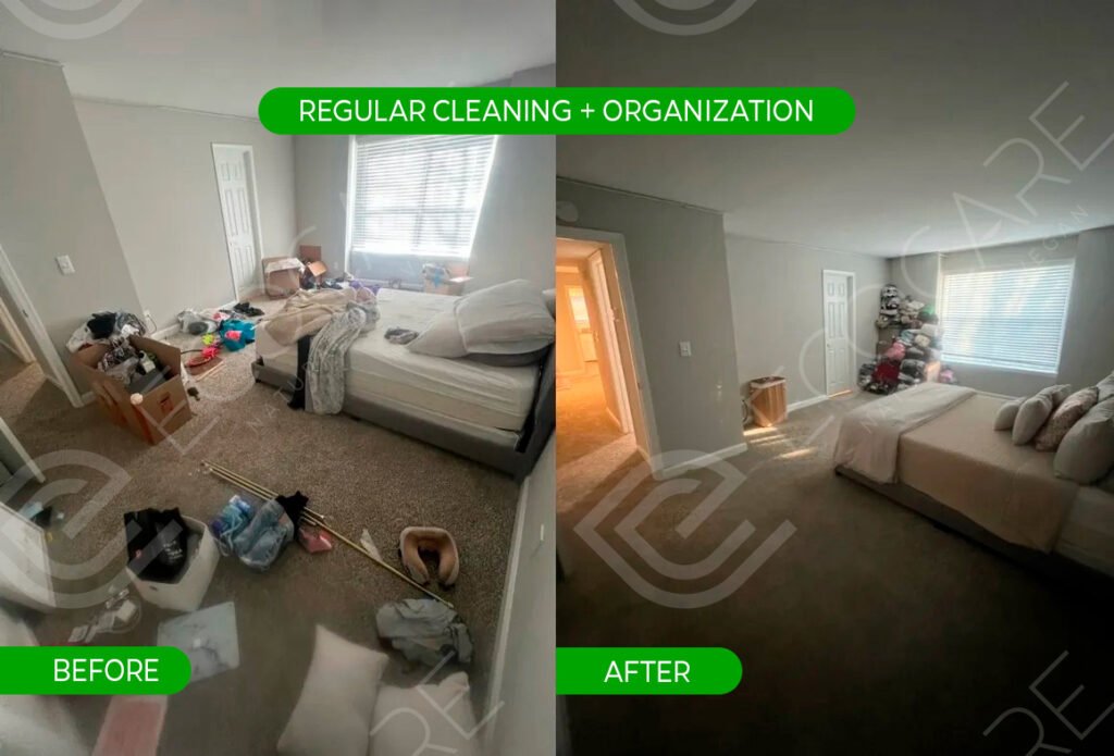 Regular Cleaning + Organization