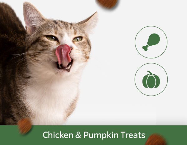 Chicken & Pumpkin Treats