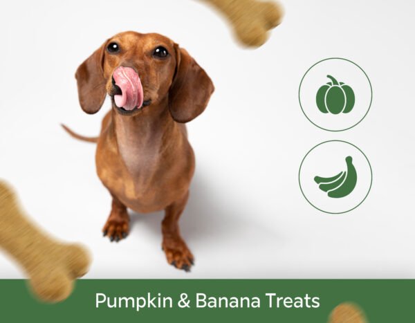 Pumpkin & Banana Treats