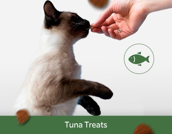 Tuna Treats